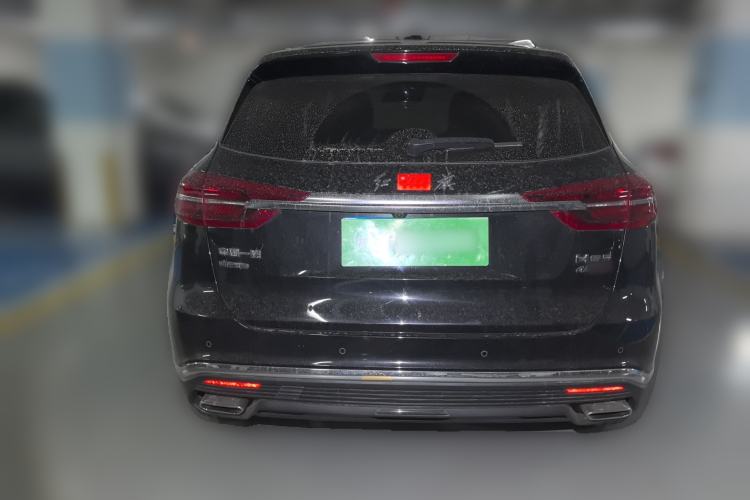 Used Hongqi HS5 2019 2.0T Smart Connect Flagship All-Wheel-Drive Version Rear