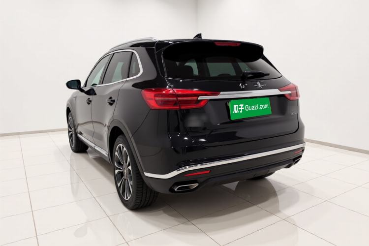 Used Hongqi HS5 2019 2.0T Smart Connect Flagship All-Wheel-Drive Version Rear Left 45 Deg