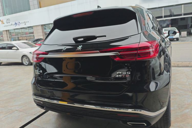 Used Hongqi HS5 2019 2.0T Smart Connect Flagship All-Wheel-Drive Version Rear