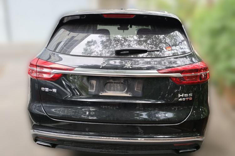 Used Hongqi HS5 2019 2.0T Smart Connect Flagship Edition Rear