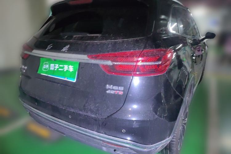 Used Hongqi HS5 2019 2.0T Smart Connect Flagship All-Wheel-Drive Version Rear