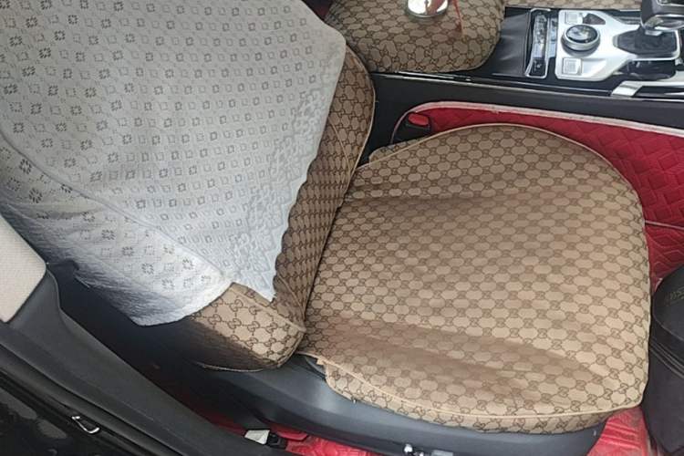 Used Hongqi HS5 2019 2.0T Smart Connect Flagship All-Wheel-Drive Version Right Front Seat