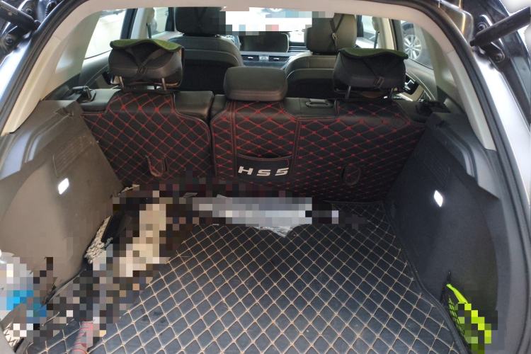 Used Hongqi HS5 2019 2.0T Smart Connect Flagship Edition Trunk
