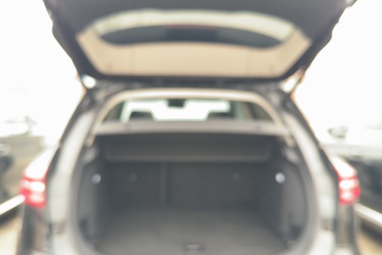 Used Hongqi HS5 2019 2.0T Smart Connect Flagship Edition Trunk