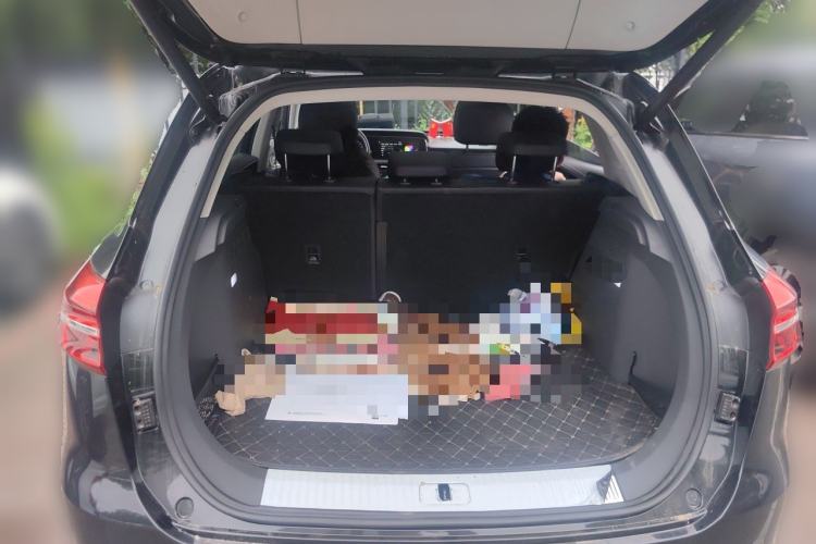 Used Hongqi HS5 2019 2.0T Smart Connect Flagship Edition Trunk