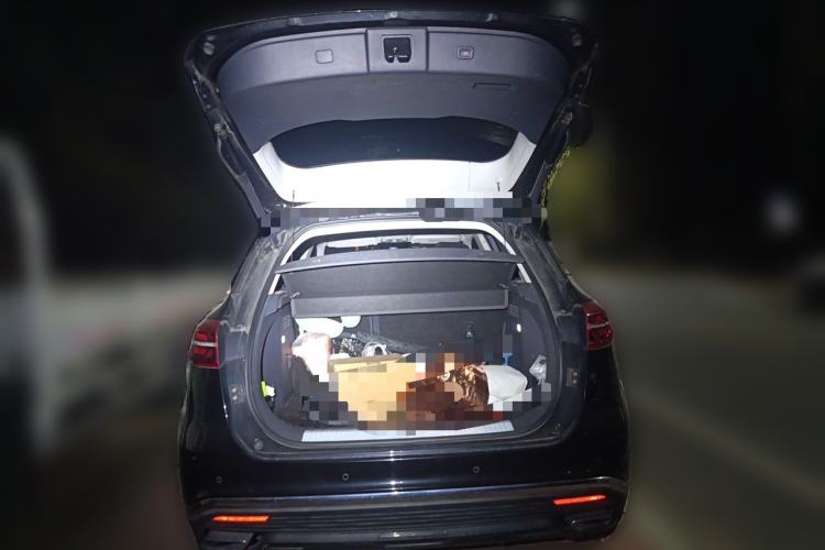 Used Hongqi HS5 2019 2.0T Smart Connect Flagship Edition Trunk