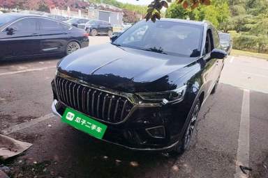 Used Hongqi HS5 2019 2.0T Smart Connect Flagship All-Wheel-Drive Version