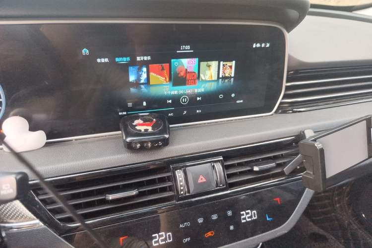 Used Hongqi HS5 2019 2.0T Smart Connect Flagship Edition Audio And AC Panel