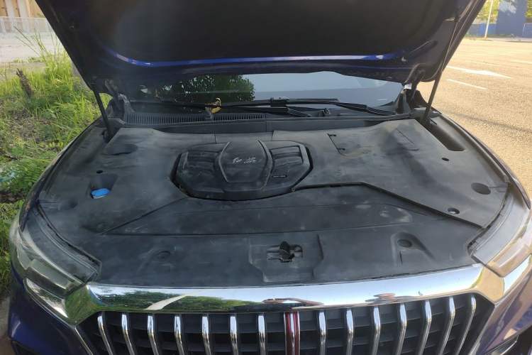 Used Hongqi HS5 2019 2.0T Smart Connect Flagship All-Wheel-Drive Version Engine Bay