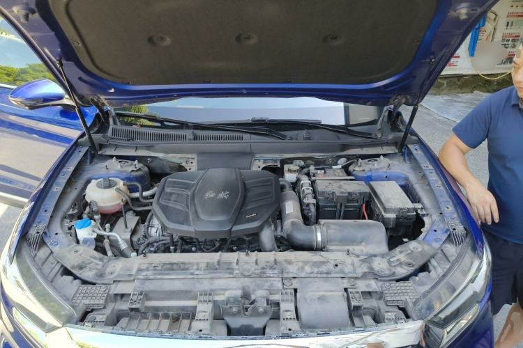Used Hongqi HS5 2019 2.0T Smart Connect Flagship All-Wheel-Drive Version Engine Bay