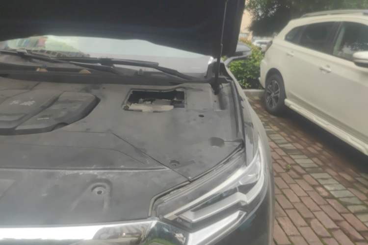 Used Hongqi HS5 2019 2.0T Smart Connect Flagship All-Wheel-Drive Version Engine Bay Left