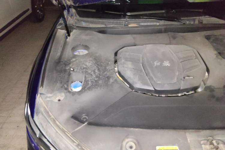 Used Hongqi HS5 2019 2.0T Smart Connect Flagship All-Wheel-Drive Version Engine Bay Right