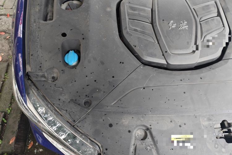 Used Hongqi HS5 2019 2.0T Smart Connect Flagship Edition Engine Bay Right