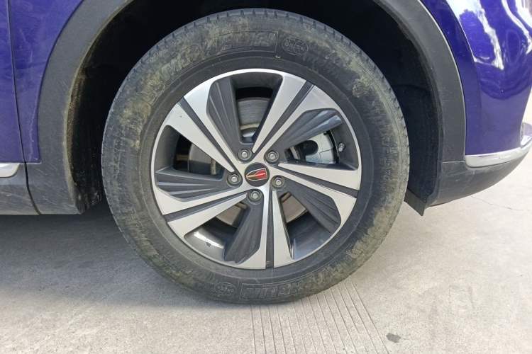 Used Hongqi HS5 2019 2.0T Smart Connect Flagship Edition Exterior 1