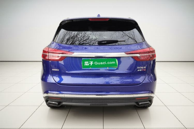Used Hongqi HS5 2019 2.0T Smart Connect Flagship All-Wheel-Drive Version Exterior 4
