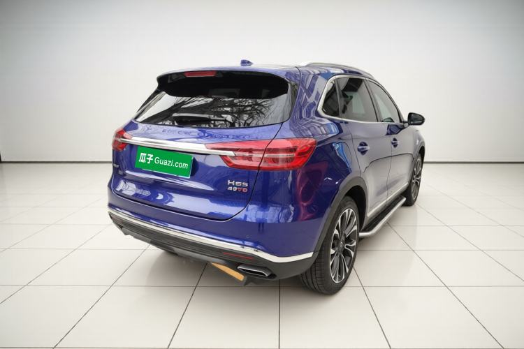 Used Hongqi HS5 2019 2.0T Smart Connect Flagship All-Wheel-Drive Version Exterior 5