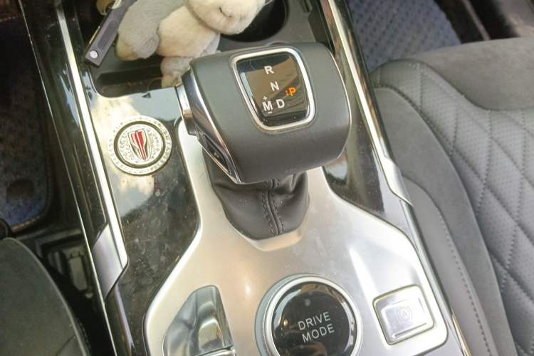 Used Hongqi HS5 2019 2.0T Smart Connect Flagship Edition Gear Lever
