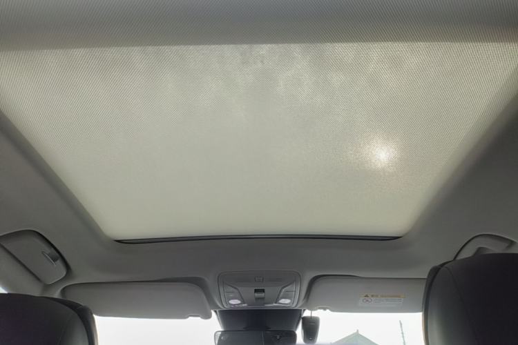 Used Hongqi HS5 2019 2.0T Smart Connect Flagship Edition Headliner