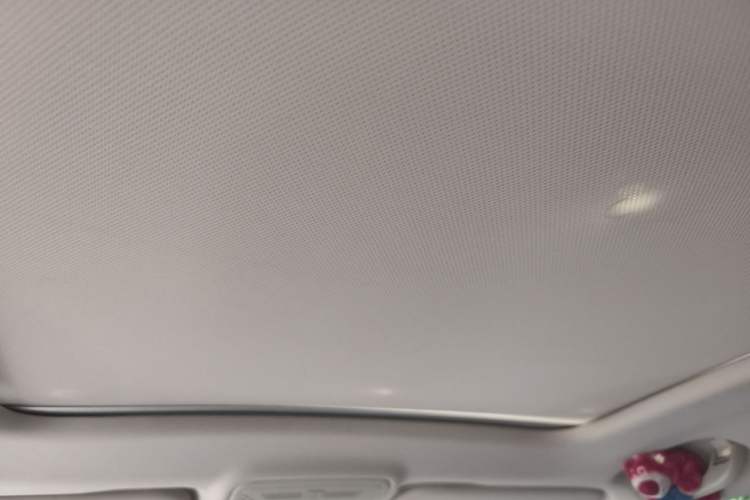 Used Hongqi HS5 2019 2.0T Smart Connect Flagship Edition Headliner