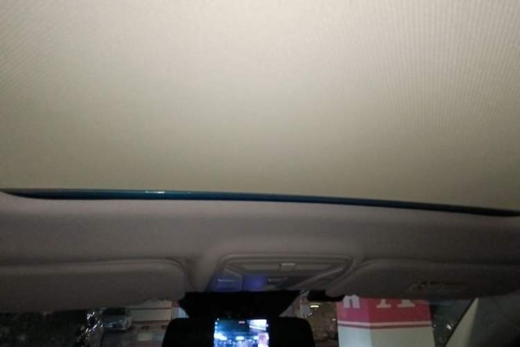 Used Hongqi HS5 2019 2.0T Smart Connect Flagship Edition Headliner