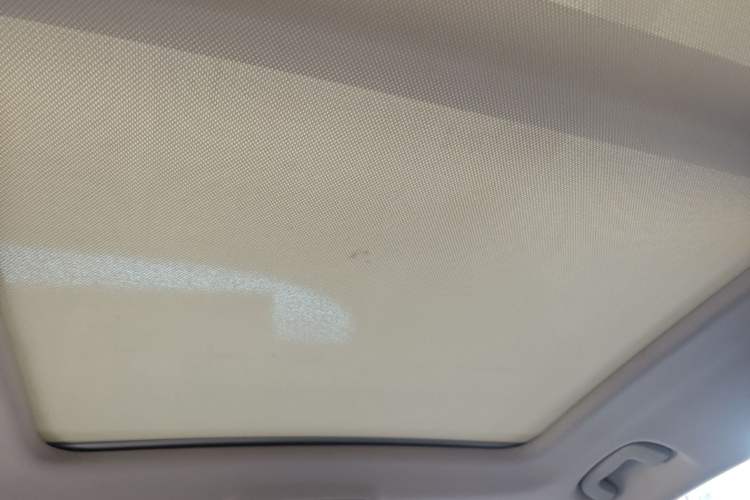 Used Hongqi HS5 2019 2.0T Smart Connect Flagship Edition Headliner