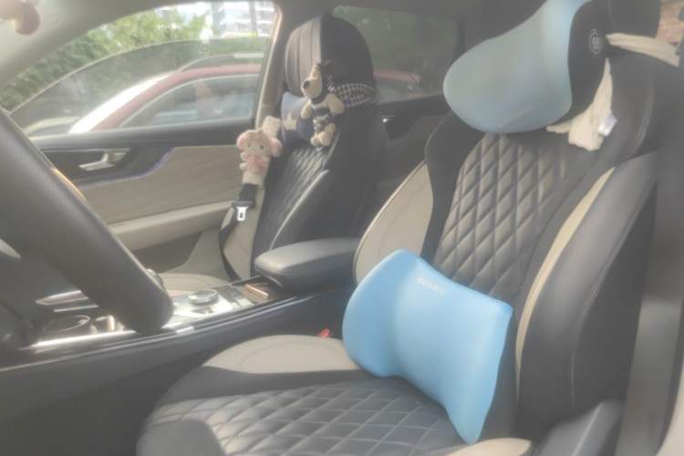 Used Hongqi HS5 2019 2.0T Smart Connect Flagship All-Wheel-Drive Version Left Front Seat
