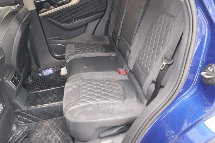 Used Hongqi HS5 2019 2.0T Smart Connect Flagship Edition Left Rear Seat