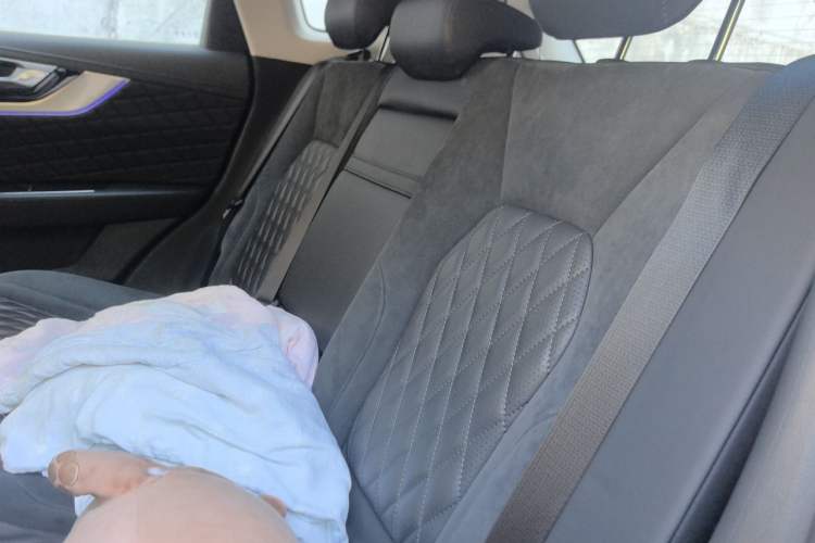 Used Hongqi HS5 2019 2.0T Smart Connect Flagship Edition Left Rear Seat