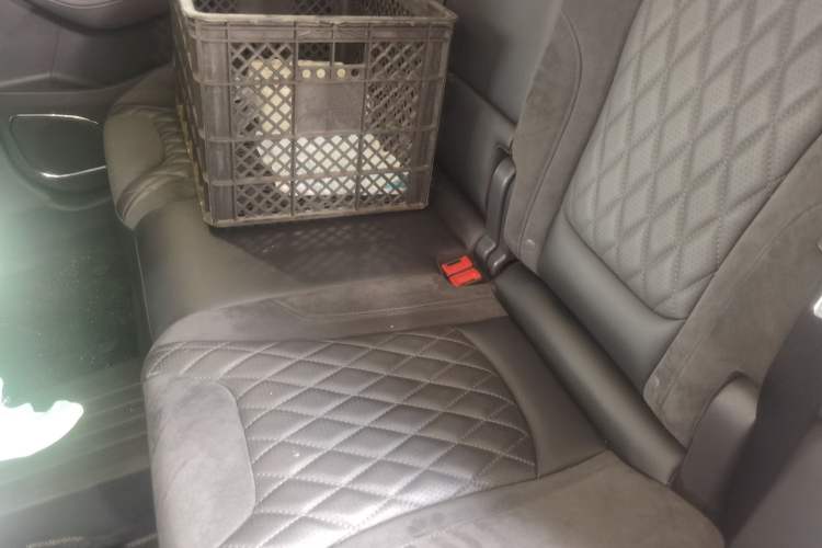 Used Hongqi HS5 2019 2.0T Smart Connect Flagship All-Wheel-Drive Version Left Rear Seat