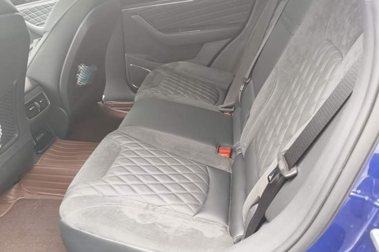 Used Hongqi HS5 2019 2.0T Smart Connect Flagship All-Wheel-Drive Version Left Rear Seat