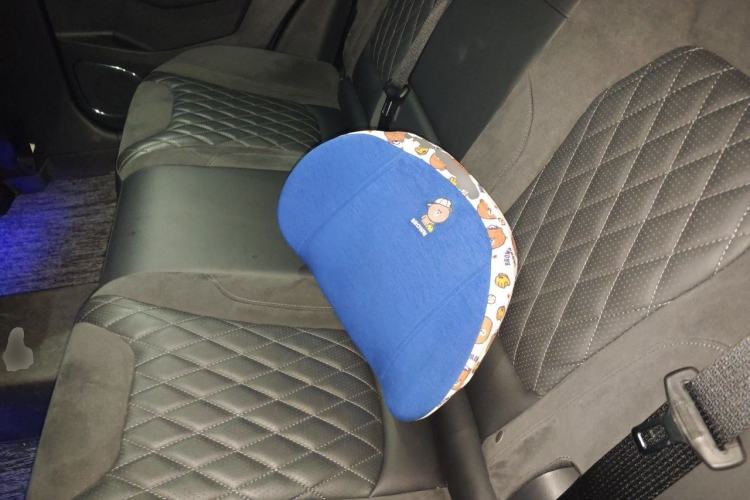 Used Hongqi HS5 2019 2.0T Smart Connect Flagship Edition Left Rear Seat