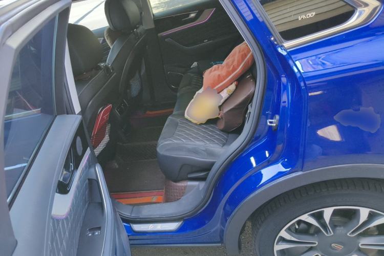 Used Hongqi HS5 2019 2.0T Smart Connect Flagship All-Wheel-Drive Version Left Rear Seat