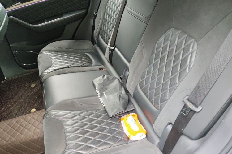 Used Hongqi HS5 2019 2.0T Smart Connect Flagship Edition Left Rear Seat
