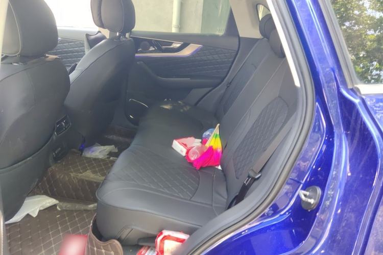 Used Hongqi HS5 2019 2.0T Smart Connect Flagship All-Wheel-Drive Version Left Rear Seat