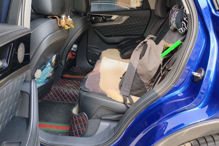Used Hongqi HS5 2019 2.0T Smart Connect Flagship All-Wheel-Drive Version Left Rear Seat