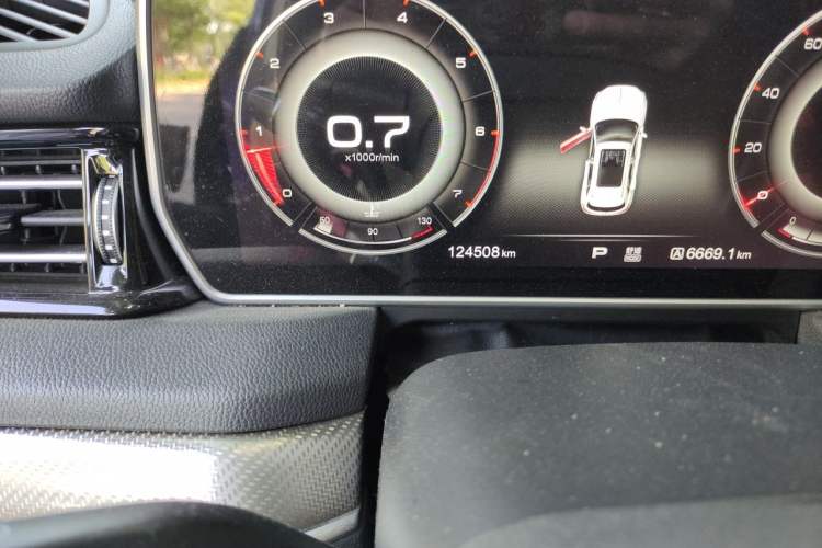 Used Hongqi HS5 2019 2.0T Smart Connect Flagship All-Wheel-Drive Version Odometer Close Up