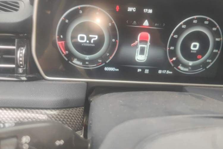 Used Hongqi HS5 2019 2.0T Smart Connect Flagship All-Wheel-Drive Version Odometer Close Up
