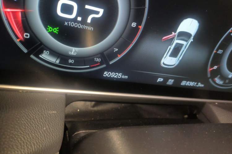 Used Hongqi HS5 2019 2.0T Smart Connect Flagship All-Wheel-Drive Version Odometer Close Up