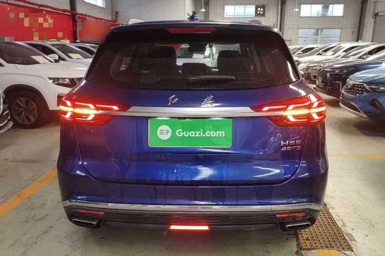 Used Hongqi HS5 2019 2.0T Smart Connect Flagship Edition Rear