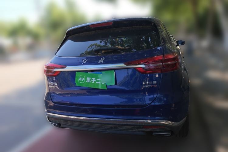 Used Hongqi HS5 2019 2.0T Smart Connect Flagship All-Wheel-Drive Version Rear