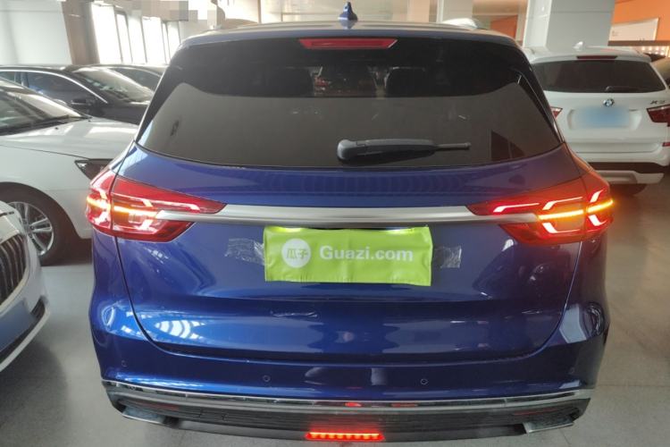 Used Hongqi HS5 2019 2.0T Smart Connect Flagship All-Wheel-Drive Version Rear