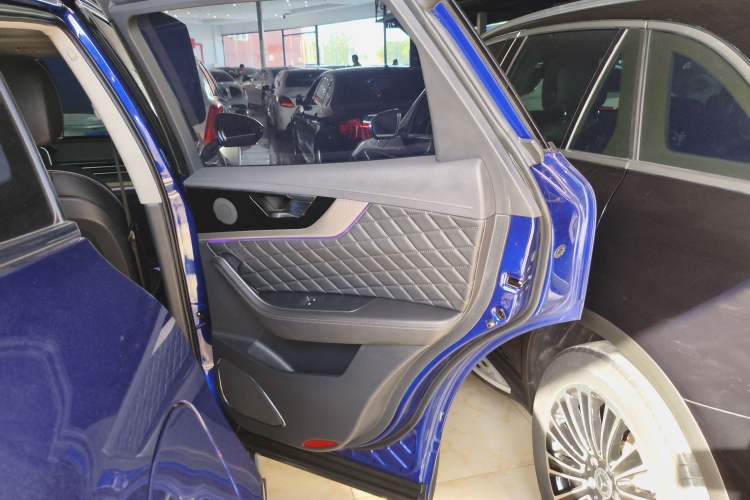 Used Hongqi HS5 2019 2.0T Smart Connect Flagship Edition Right Rear Door Interior