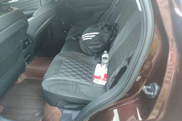 Used Hongqi HS5 2019 2.0T Smart Connect Flagship All-Wheel-Drive Version Left Rear Seat