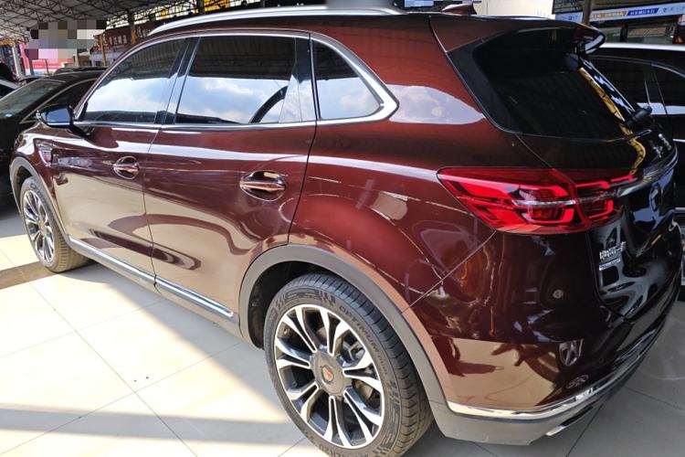 Used Hongqi HS5 2019 2.0T Smart Connect Flagship All-Wheel-Drive Version Left Side