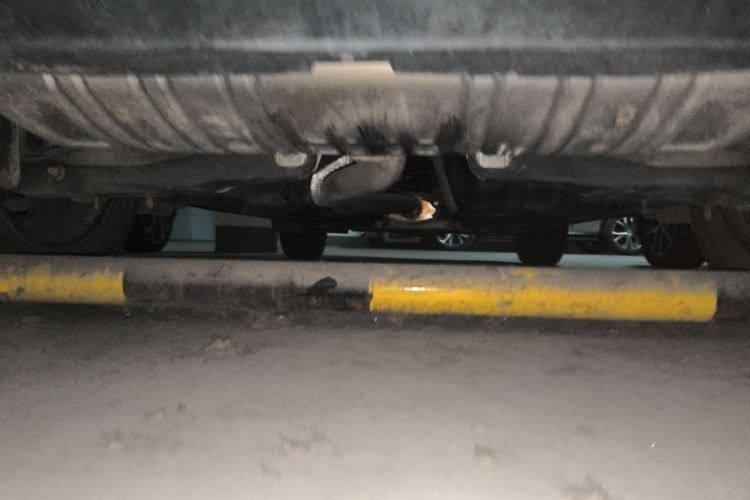 Used Hongqi HS5 2019 2.0T Smart Connect Flagship Edition Chassis Rear