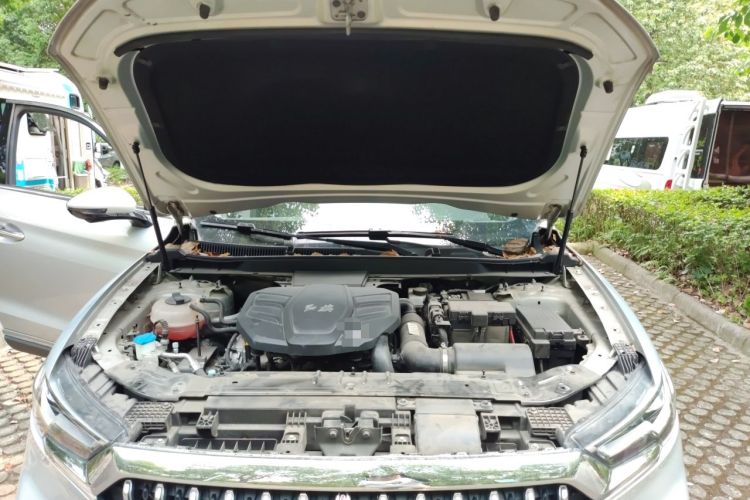 Used Hongqi HS5 2019 2.0T Smart Connect Flagship All-Wheel-Drive Version Engine Bay