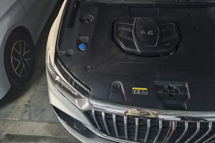 Used Hongqi HS5 2019 2.0T Smart Connect Flagship Edition Engine Bay Right