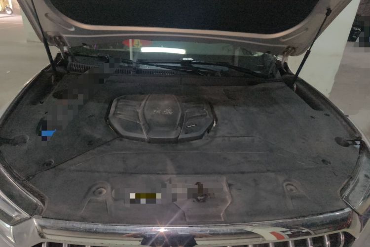 Used Hongqi HS5 2019 2.0T Smart Connect Flagship All-Wheel-Drive Version Engine Bay