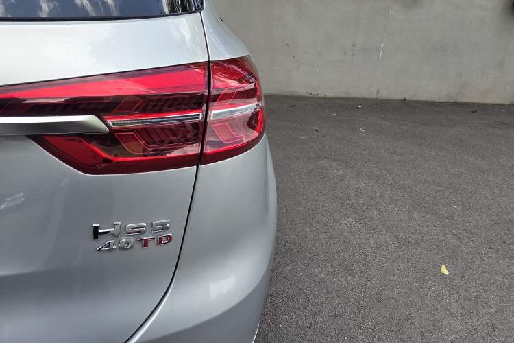 Used Hongqi HS5 2019 2.0T Smart Connect Flagship All-Wheel-Drive Version Exterior 10