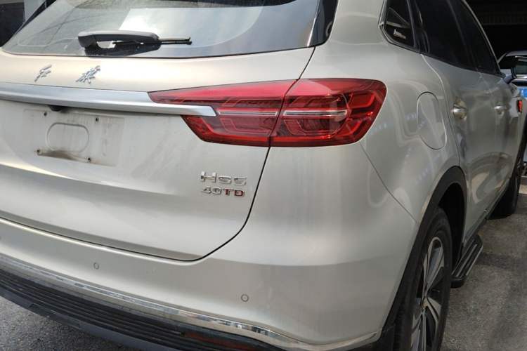 Used Hongqi HS5 2019 2.0T Smart Connect Flagship Edition Exterior 3